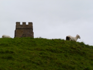 Sheep and Tor
